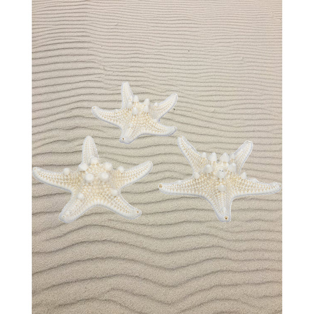 24x pieces decoration starfish - natural - 5-7 cm