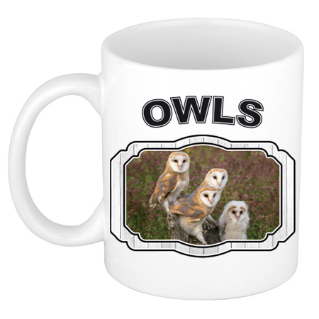 Dieren kerkuil beker - owls/ uilen mok wit 300 ml  