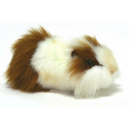 Plush guinea pig white/brown