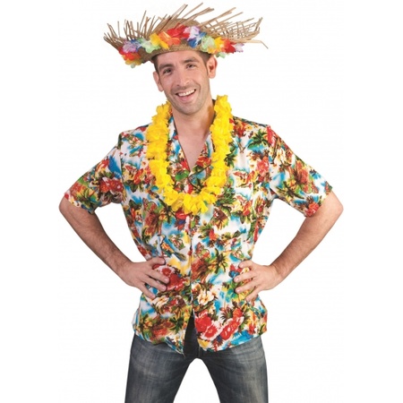 Carnavalskleding Hawaii overhemd Kauai