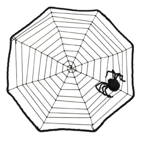Feestartikelen Spinnenweb met spin 40 x 40 cm