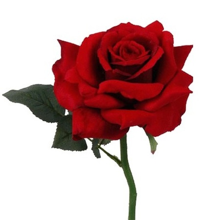 Valentijnsdag verassingsmasker pakket met roos en strooiblaadjes