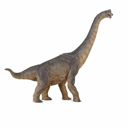 Speelgoed plastic braciosaurus dinosaurus 39,5 cm