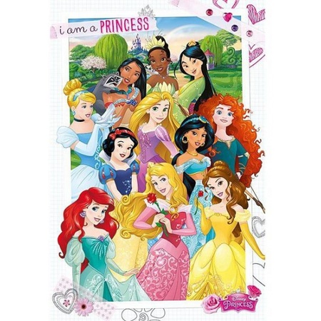 Feest versiering prinsessen poster