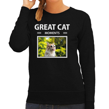 Rode katten trui / sweater met dieren foto great cat moments zwart voor dames
