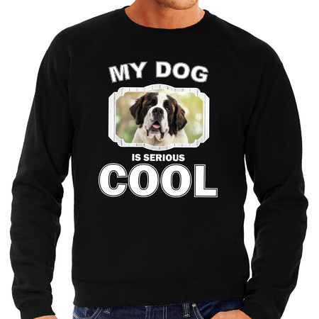 Sint bernard honden sweater / trui my dog is serious cool zwart voor heren