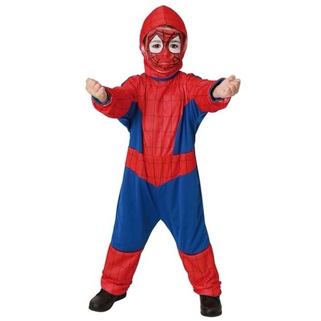 Carnaval spinnen held kostuum voor kinderen